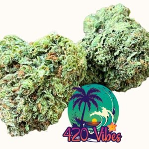 ALOHA GELATO