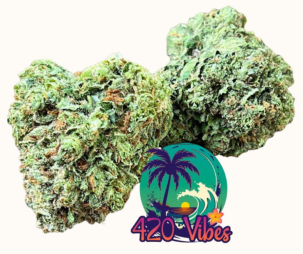 ALOHA GELATO