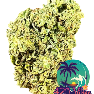 🌴🔥 GANGSTA
