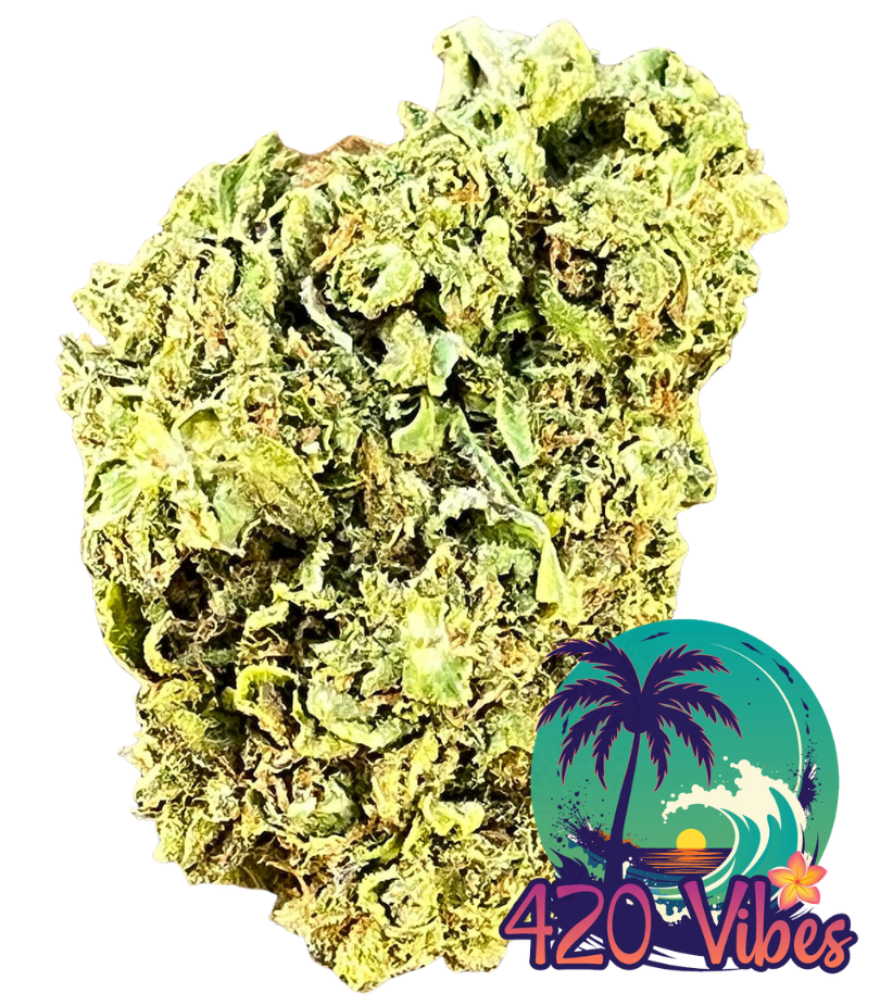 🌴🔥 GANGSTA